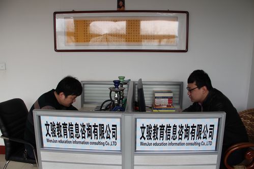 吕梁文骏教育信息咨询